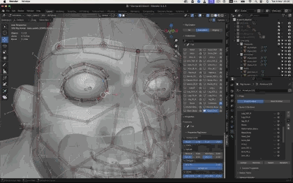 Facial rig